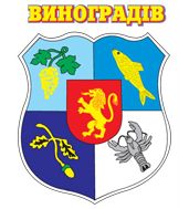 Arms of Vynohradiv