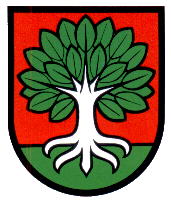 Wappen von Buchholterberg / Arms of Buchholterberg