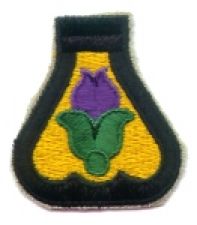 File:21st Cavalry Division, USA.jpg