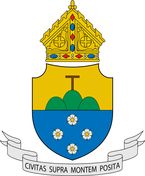 File:Diocese of Cubao.png