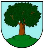 Wappen von Nienstedt (Allstedt) / Arms of Nienstedt (Allstedt)