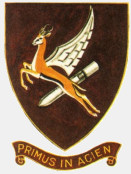 Coat of arms (crest) of the No 12 Squadron, South African Air Force