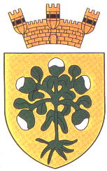 Arms of Bormla