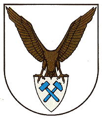 Wappen von Falkenstein/Vogtland/Coat of arms (crest) of Falkenstein/Vogtland