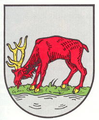 Langenbac.jpg