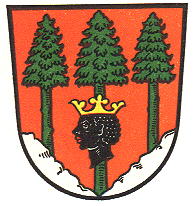 Wappen von Mittenwald/Arms (crest) of Mittenwald