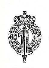 File:1st Line Infantry Regiment, Belgian Army.jpg