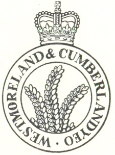 File:Westmorland and Cumberland Yeomanry, British Army.jpg