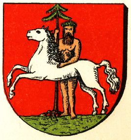 Wappen von Wildemann/Coat of arms (crest) of Wildemann