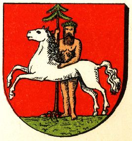 Wappen von Wildemann