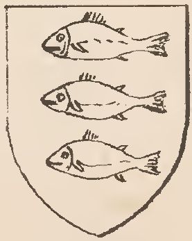Arms of Peter des Roches