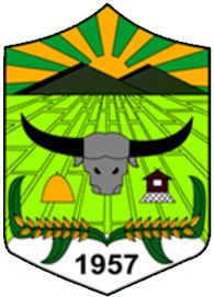 Arms of General Mamerto Natividad