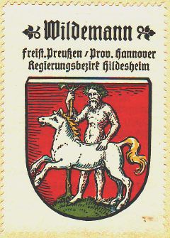 Wappen von Wildemann/Coat of arms (crest) of Wildemann