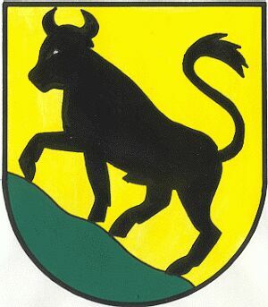 Wappen von Jochberg (Tirol) / Arms of Jochberg (Tirol)