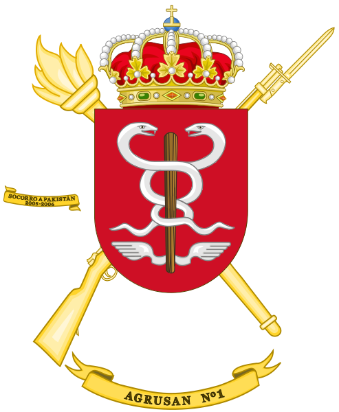 File:1st Army Health Services Grouping, Spanish Army.png