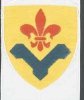 Vestvold Division, YMCA Scouts Denmark.jpg