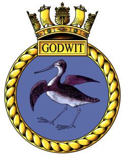 File:HMS Godwit, Royal Navy.jpg