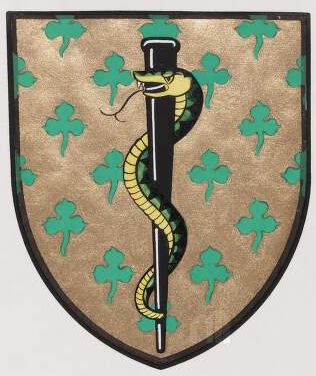 Coat of arms (crest) of Medical Council of Ireland