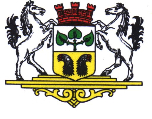 Wappen von Bassum/Arms (crest) of Bassum