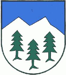Wappen von Rettenegg