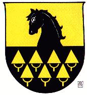 Wappen von Niedernsill/Arms of Niedernsill