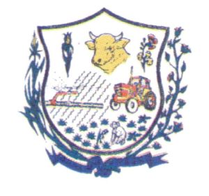 Brasão de Jaíba/Arms (crest) of Jaíba