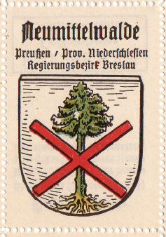 Arms of Międzybórz