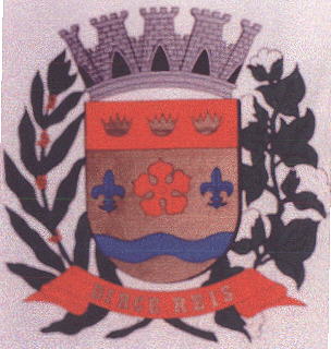 Arms of Dirce Reis