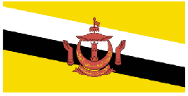 File:Brunei-flag.gif