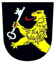 Wappen von Selzen/Arms of Selzen