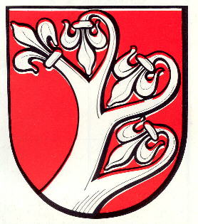 Wappen von Söhrewald / Arms of Söhrewald