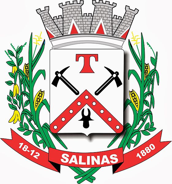 File:Salinas (Minas Gerais).jpg