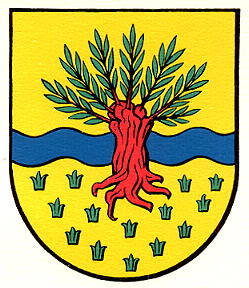 Wappen von Widnau/Arms of Widnau