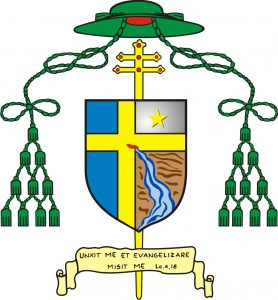 Arms of José de Queirós Alves