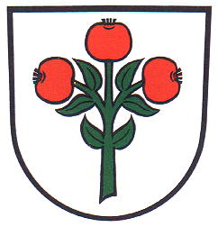Wappen von Oberschwarzach (Schwarzach)/Arms (crest) of Oberschwarzach (Schwarzach)