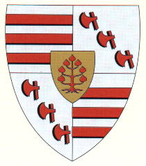 Blason de Érin/Arms (crest) of Érin