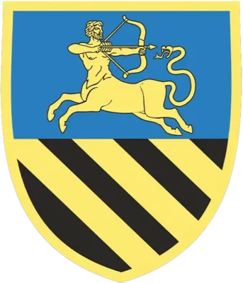 File:452nd Independent Rifle Battalion, Ukrainian Army.png