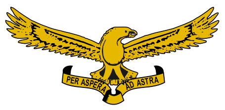 Coat of arms (crest) of the South African Air Force