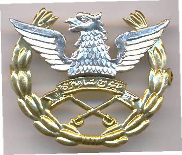 File:Pakistan Army Aviation, Pakistan Army.jpg