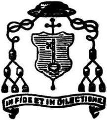 Arms of Karol Mieczysław Radoński