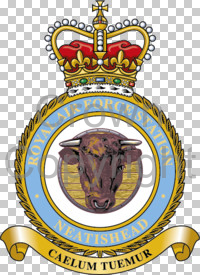 Coat of arms (crest) of the RAF Station Neatishead, Royal Air Force