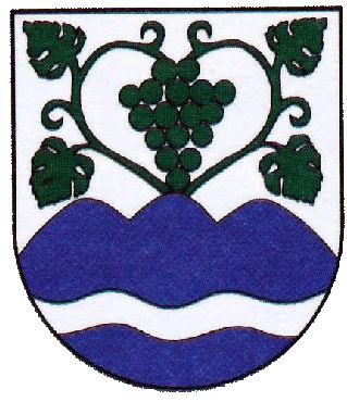 Slovenské Nové Mesto (Erb, znak)