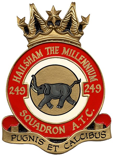 File:No 149 (Hailsham) Squadron, Air Training Corps.jpg