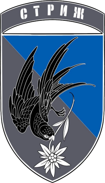 Coat of arms (crest) of Drone Battalion, 10th Mountain Assault Brigade, Ukrainian Army