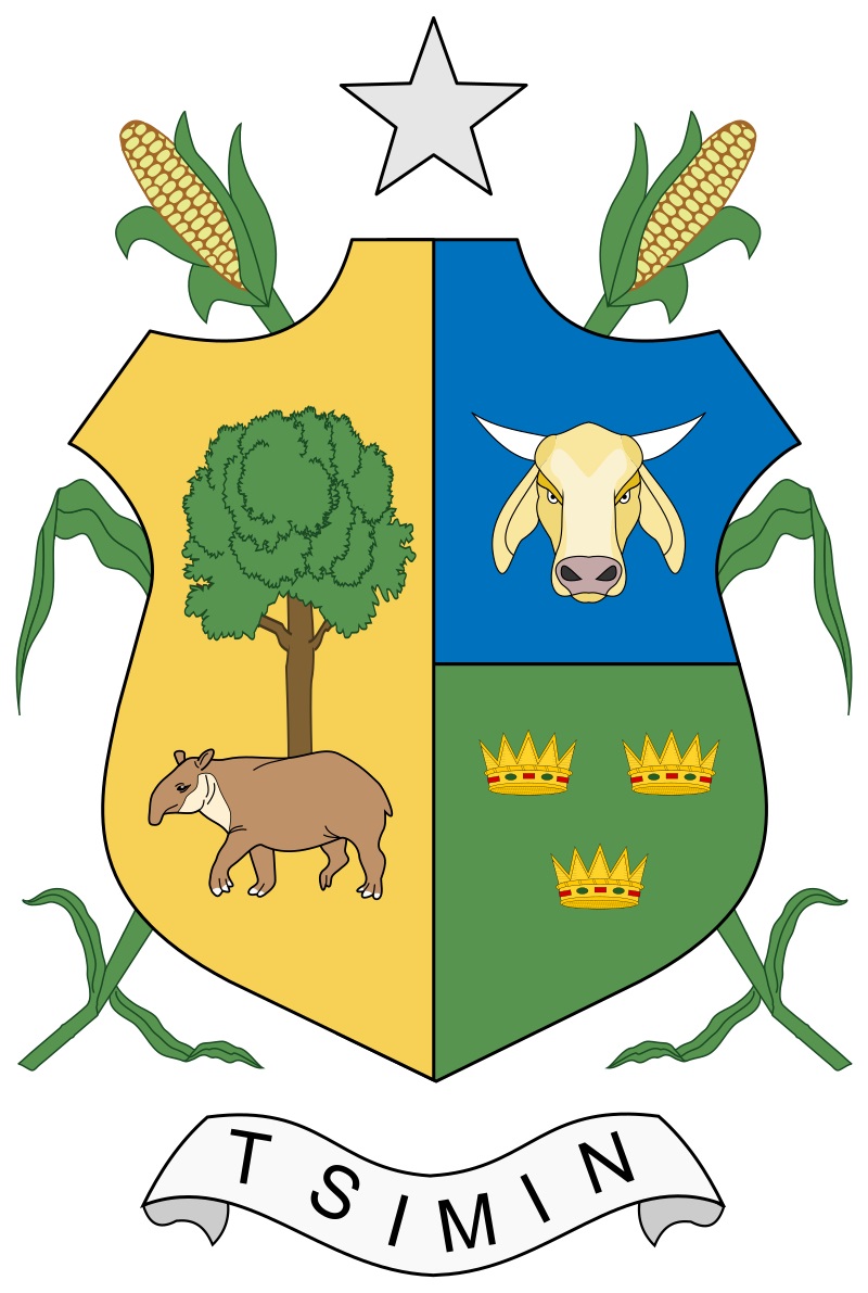 Arms of Tizimin