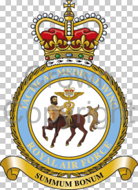Coat of arms (crest) of the Tactical Medical Wing, Royal Air Force