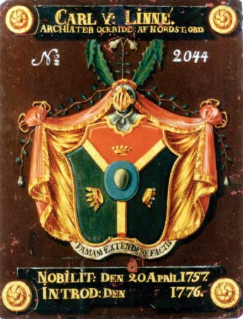 Arms of Linnaues (Carl von Linné)