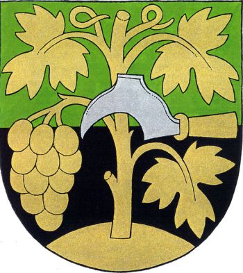 Arms of Oslavany