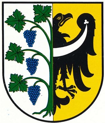 Arms of Środa Śląska