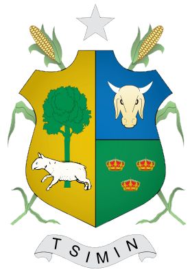 Arms (crest) of Tizimín